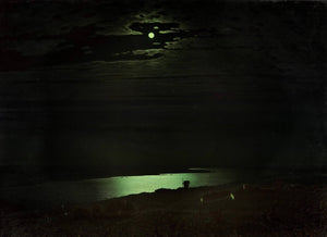 Moonlight Night on the Dnieper - Arkhyp Kuindzhi