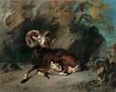 Moufflon by Jean-Baptiste Oudry — hand-painted animal oil painting reproduction on canvas