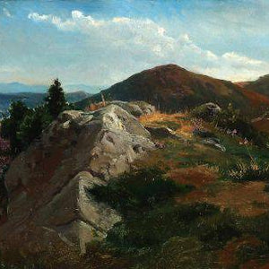 Mountain landscape