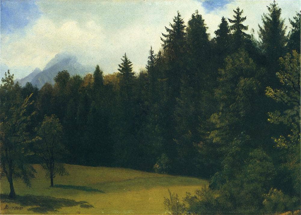 Mountain Resort by Albert Bierstadt — hand-painted botanical oil painting reproduction on canvas