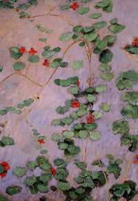 Nasturtiums by Gustave Caillebotte — hand-painted botanical oil painting reproduction on canvas