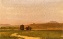 Nebraska, On the Plain by Albert Bierstadt — hand-painted botanical oil painting reproduction on canvas