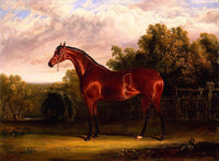 Negotiator, a Bay Horse in a Landscape by John Frederick Herring Sr. — hand-painted animal oil painting reproduction on canvas