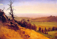 Newbraska Wasatch Mountains by Albert Bierstadt — hand-painted botanical oil painting reproduction on canvas