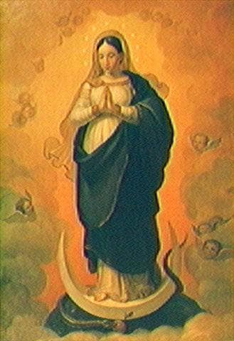 Our Lady of Conception by Simplício Rodrigues de Sá — oil painting reproduction