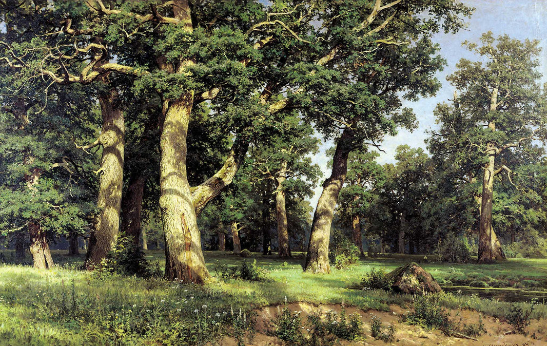 Oak Grove by Ivan Shishkin — hand-painted botanical oil painting reproduction on canvas