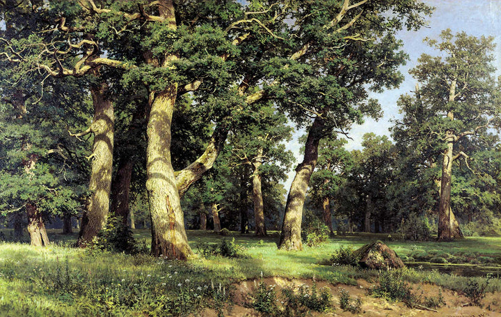 Oak Grove by Ivan Shishkin — hand-painted botanical oil painting reproduction on canvas