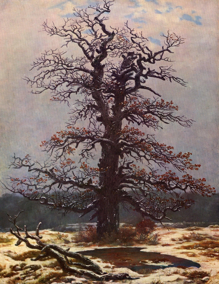 Oak Tree in the Snow by Caspar David Friedrich — hand-painted botanical oil painting reproduction on canvas