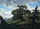 Oak Trees by the Sea in dining room