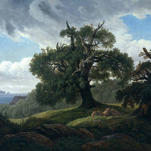 Oak Trees by the Sea