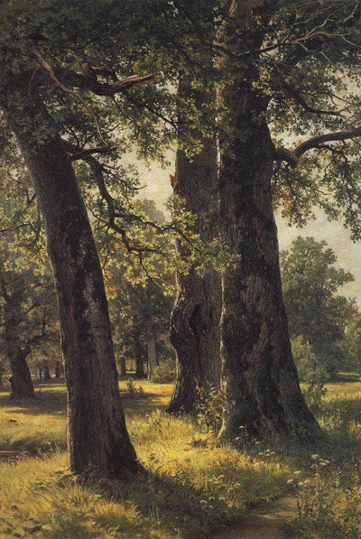 Oaks in entryway