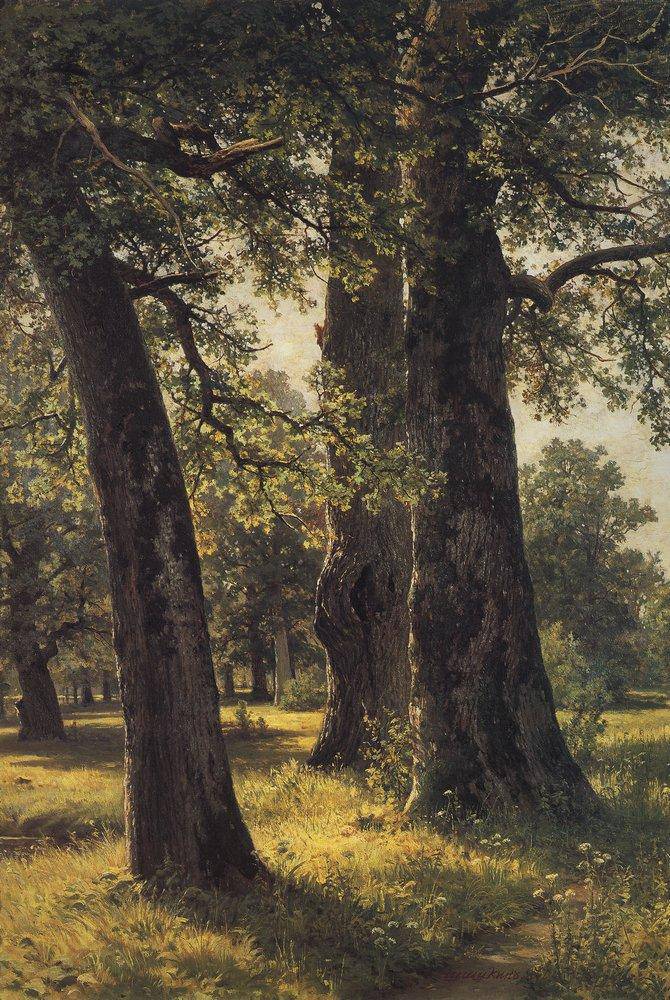 Oaks - Ivan Shishkin