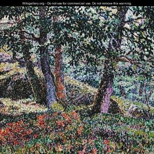 Oaks and Blueberry Bushes
