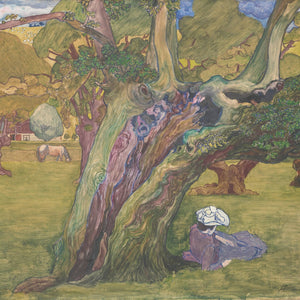 Old Oaks in Surrey