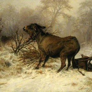 Óleo Sobre Lienzo