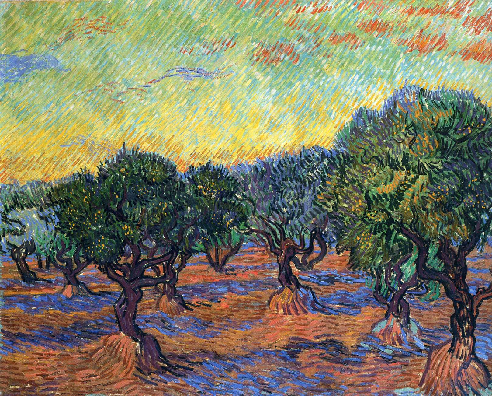 Olive Grove - Orange Sky - Vincent van Gogh