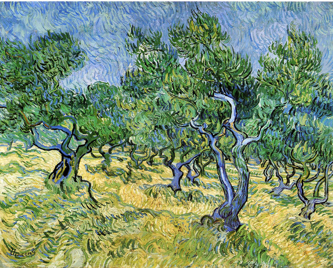 Olive Grove by Vincent van Gogh — hand-painted botanical oil painting reproduction on canvas
