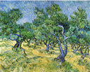 Olive Grove by Vincent van Gogh — seascapes oil painting wall art, Post Impressionism