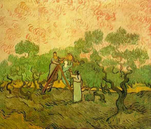 Olive Picking - Vincent van Gogh