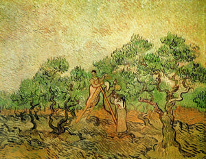 Olive Picking - Vincent van Gogh