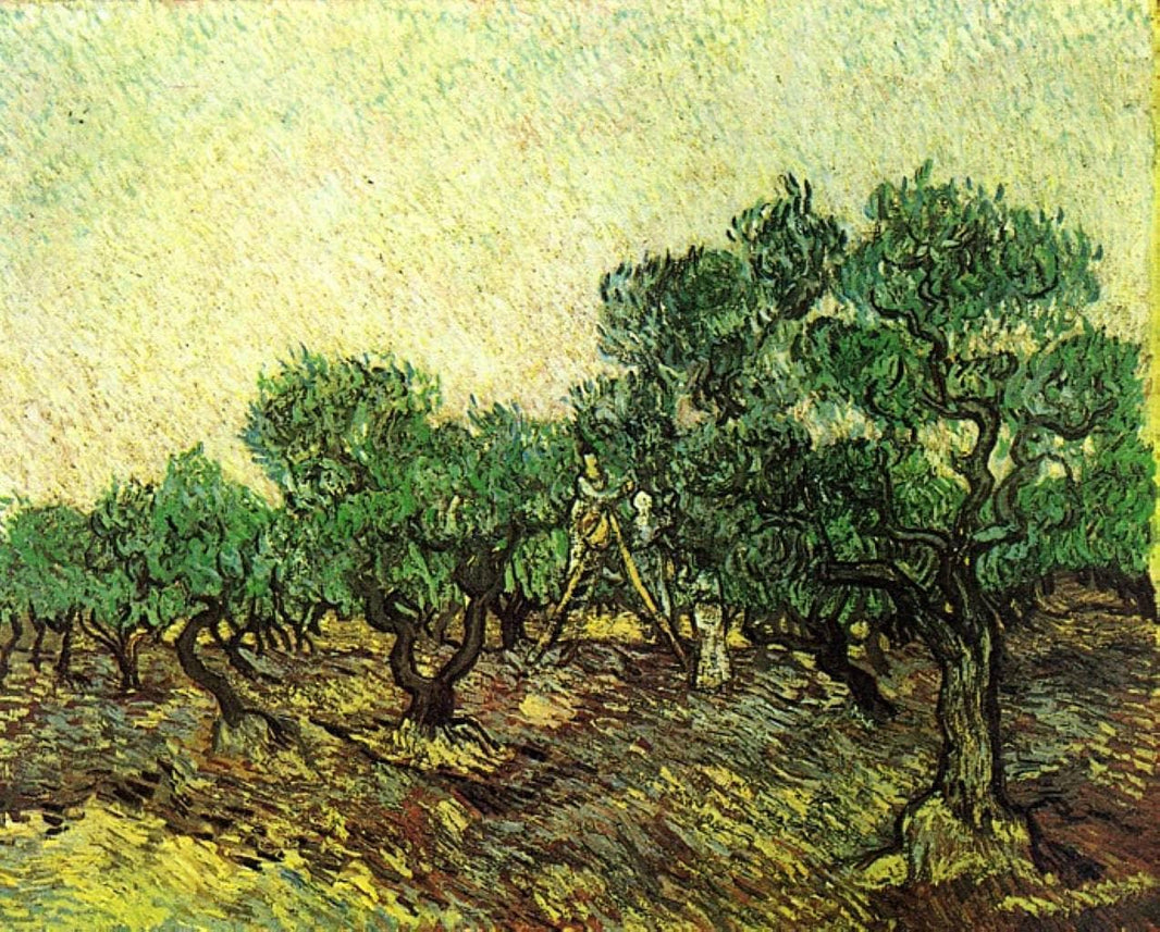Olive Picking by Vincent van Gogh — hand-painted botanical oil painting reproduction on canvas