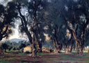 Olive Trees at Corfu by John Singer Sargent — forest oil painting wall art, Realism