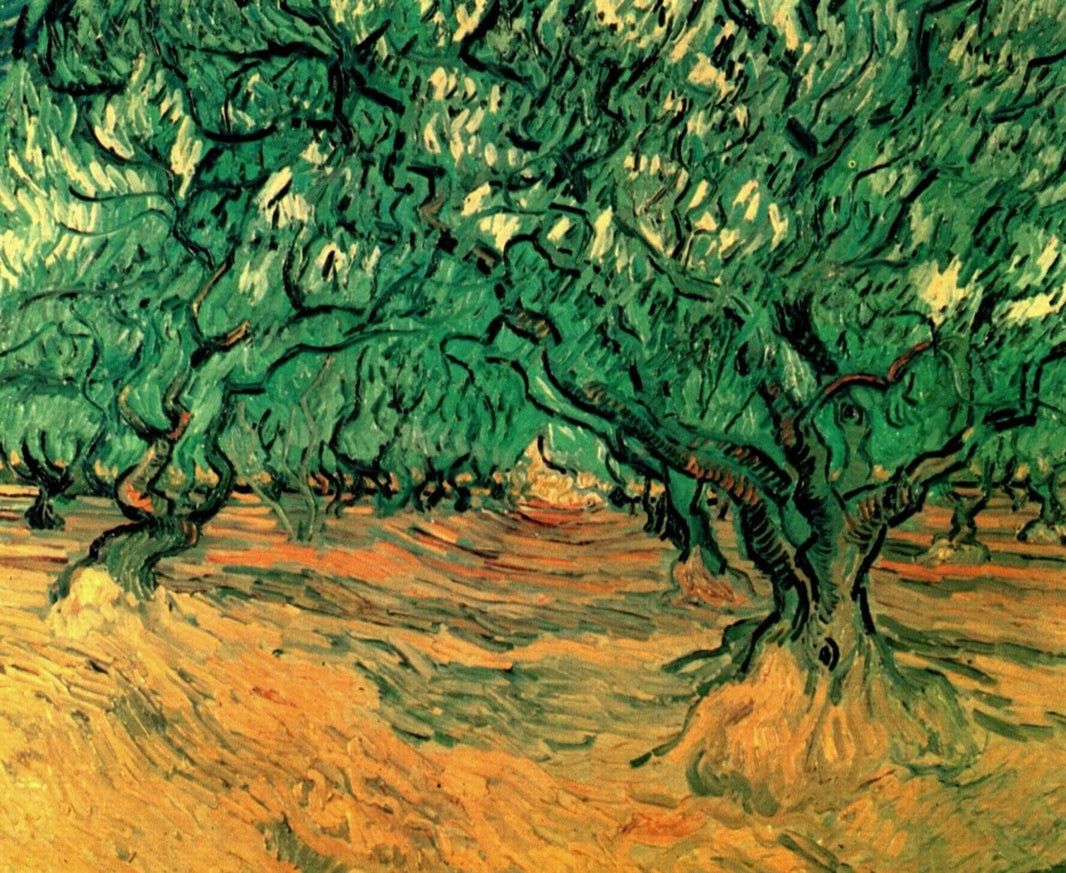 Olive Trees by Vincent van Gogh — hand-painted botanical oil painting reproduction on canvas