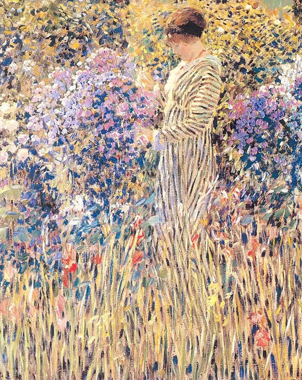 The Garden
