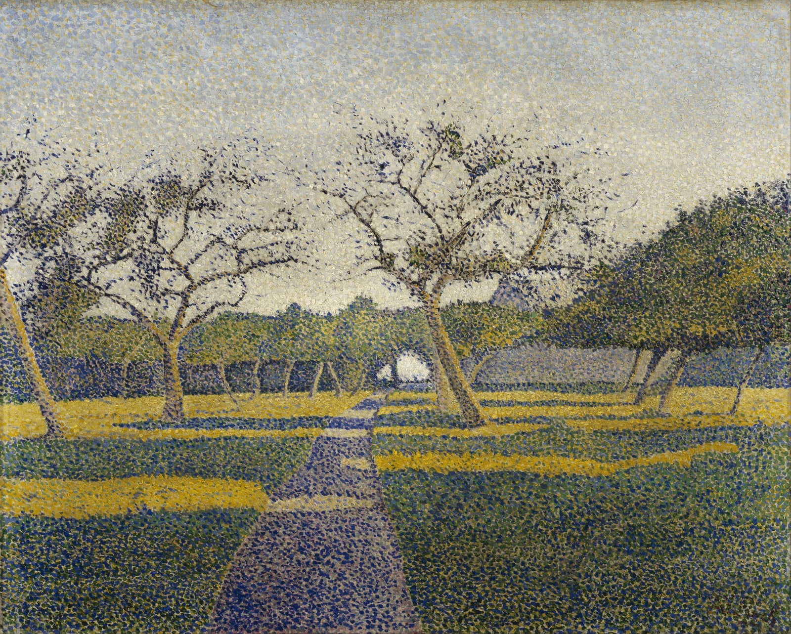 Orchard at La Louvière