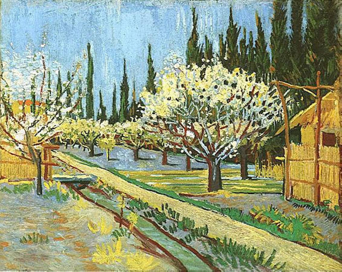 Orchard in Blossom, Bordered by Cypresses - Vincent van Gogh