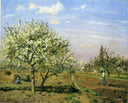 Orchard in Blossom, Louveciennes by Camille Pissarro — rural oil painting wall art, Impressionism