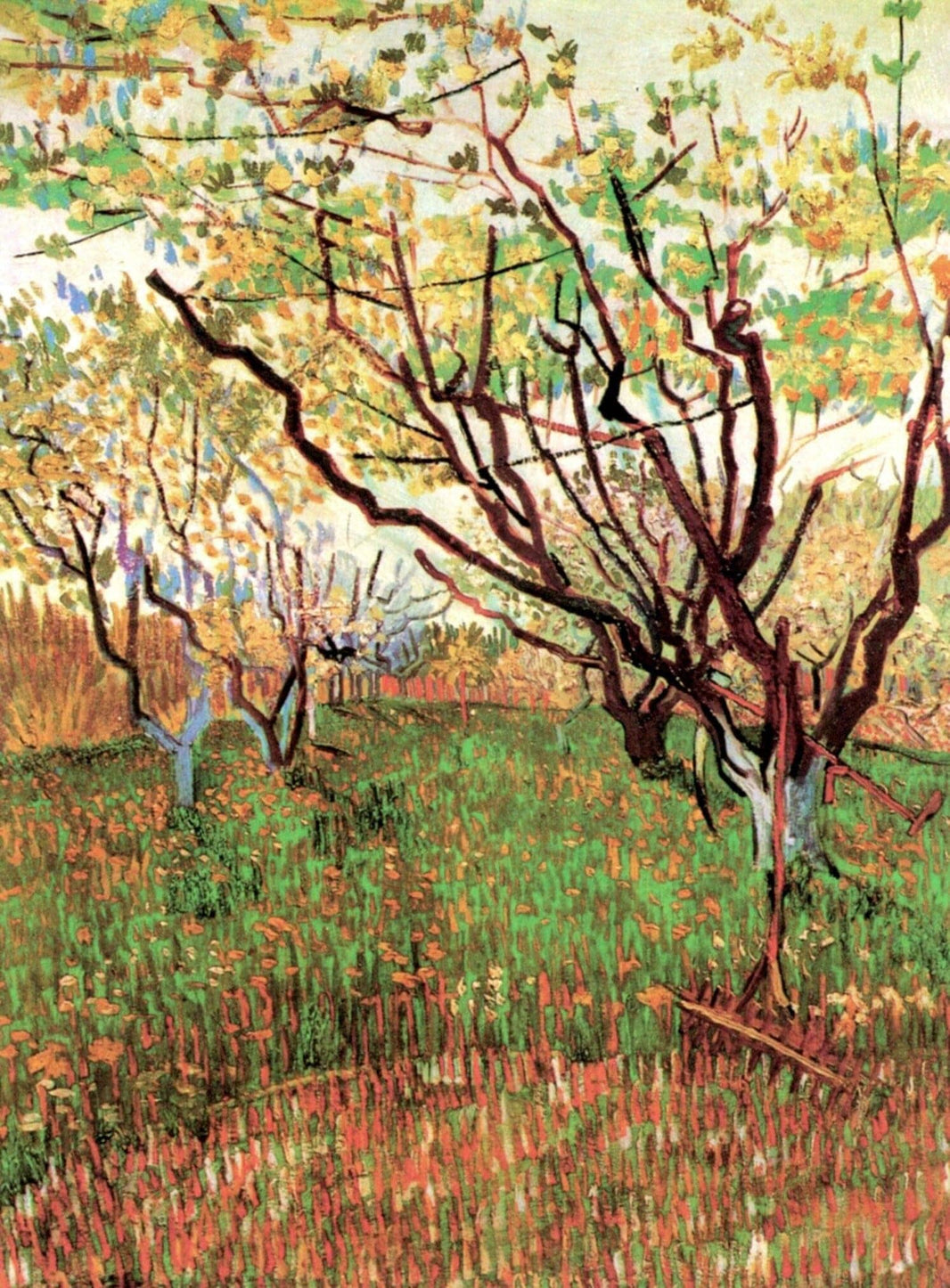 Orchard in Blossom by Vincent van Gogh — hand-painted botanical oil painting reproduction on canvas