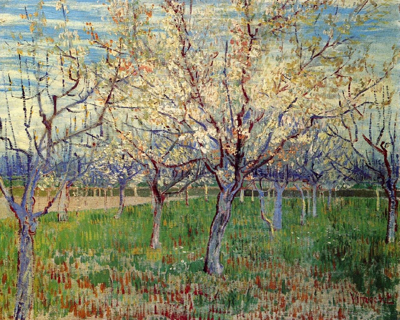 Orchard with Blossoming Apricot Trees - Vincent van Gogh