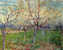 Orchard with Blossoming Apricot Trees by Vincent van Gogh — hand-painted botanical oil painting reproduction on canvas