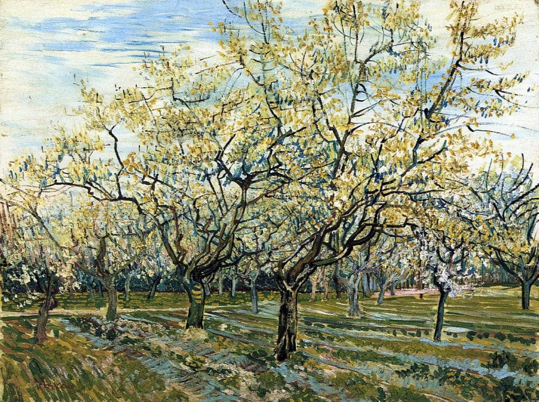 Orchard with Blossoming Plum Trees by Vincent van Gogh — hand-painted botanical oil painting reproduction on canvas