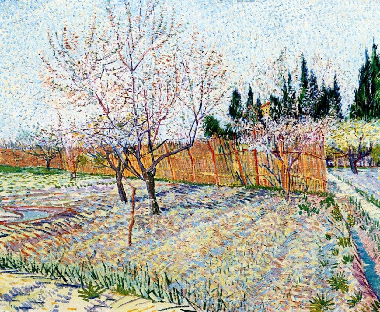 Orchard with Peach Trees in Blossom - Vincent van Gogh