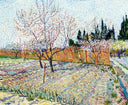 Orchard with Peach Trees in Blossom by Vincent van Gogh — rural oil painting wall art, Post Impressionism