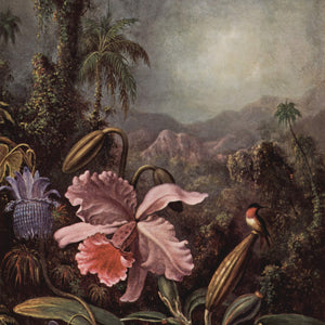 Orchid, Passion Flowers and Hummingbird