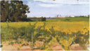 Outskirts of Seville by Joaquín Sorolla — hand-painted botanical oil painting reproduction on canvas