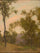 Landscape in apartment