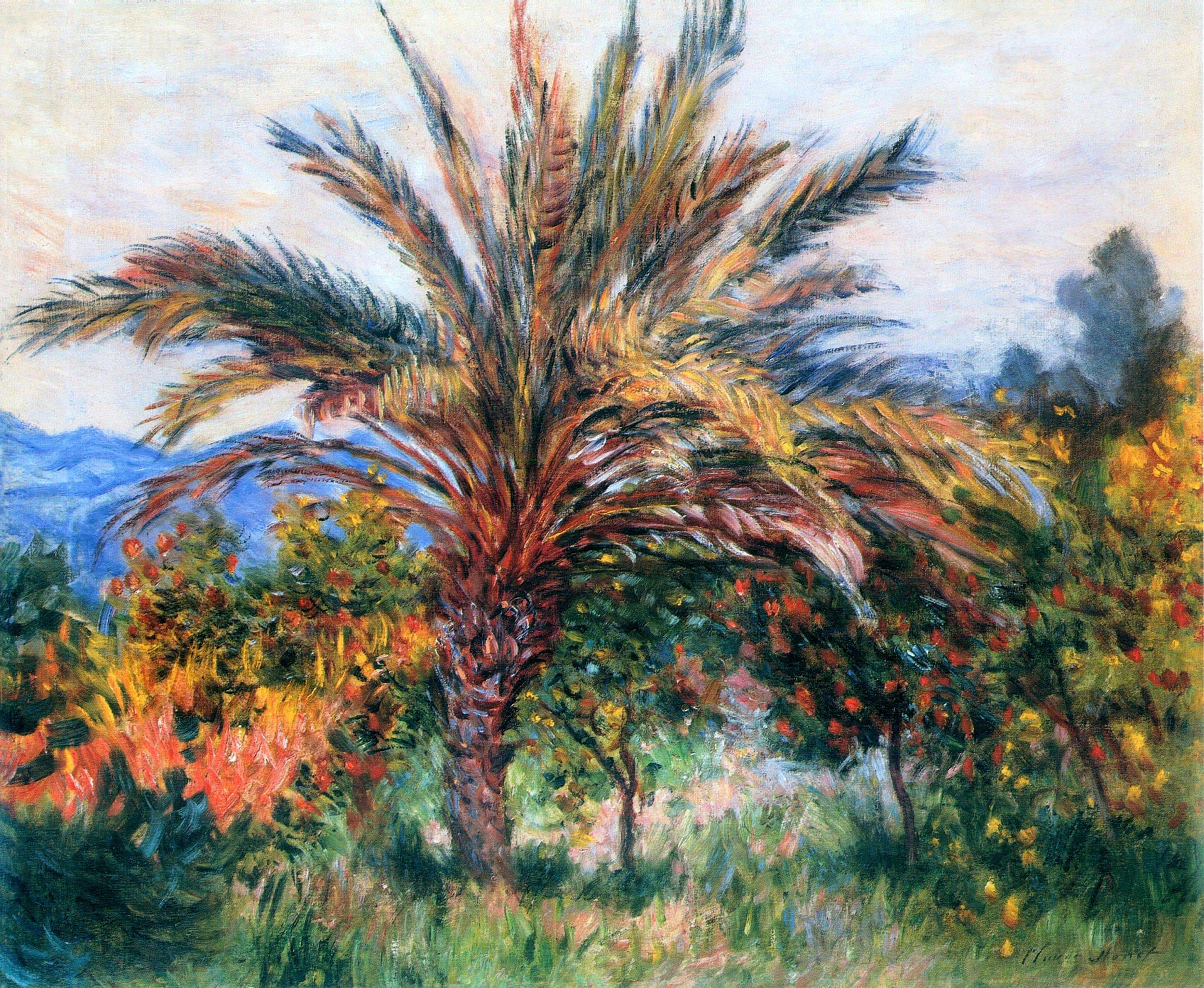 Palm Tree at Bordighera - Claude Monet