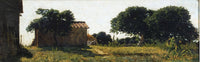 Pannocchio houses in Castiglioncello