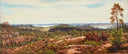 Panoramic view from Häringe towards the sea by Mårten Eskil Winge, mountain oil painting wall art, Romanticism