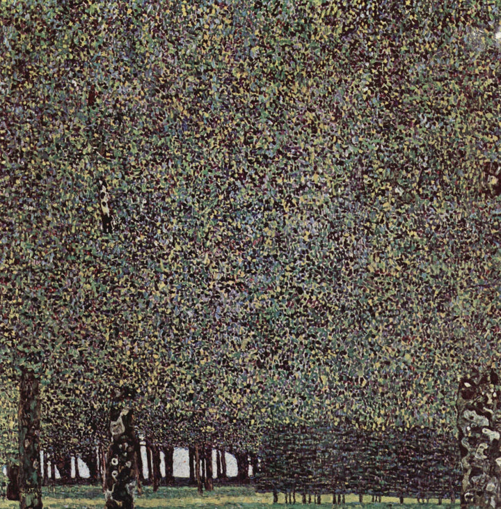 Park by Gustav Klimt — hand-painted abstract oil painting reproduction on canvas