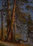 Park at Vancouver by Albert Bierstadt — hand-painted landscape oil painting reproduction on canvas