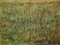 Pasture in Bloom by Vincent van Gogh — hand-painted botanical oil painting reproduction on canvas