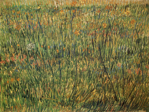 Pasture in Bloom - Vincent van Gogh