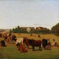 Pasture with cows backyard
