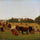 Pasture with cows backyard in apartment