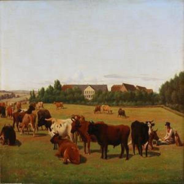 Pasture with cows backyard - Jørgen Sonne